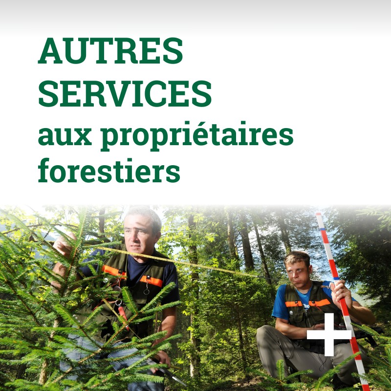 Autres services aux propriétaires forestiers